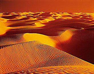 酒店装修模拟器《Hotel Renovator》上架Steam 不支持中文