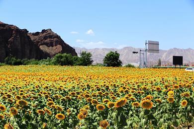 提前四周 《天国：拯救2》媒体最终预览即将发布